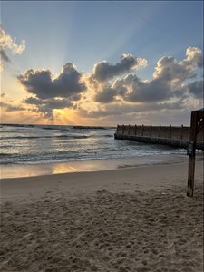 דירה להשכרה 3.5 חדרים בחיפה שביל עדה  