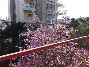דירה, 5 חדרים, בועז 15, רמת גן  