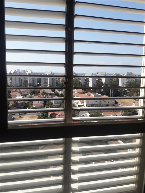תמונה 5 ,דירה 2 חדרים להשכרה בחדרה, אלאזר דוד, 