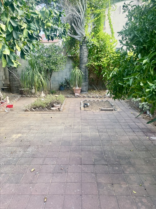 תמונה 9 ,בית פרטי 3.5 חדרים להשכרה בחולון, יוטבתה 13 א, ג׳סי כהן 