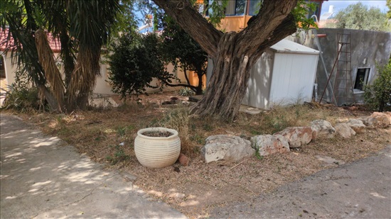 תמונה 11 ,בית פרטי 3 חדרים להשכרה בקיבוץ מצובה, אביב, 40, 