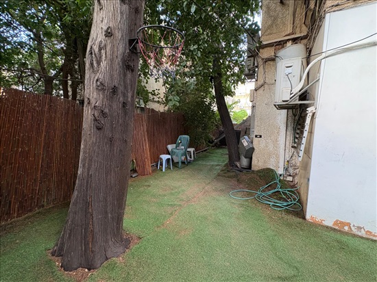 תמונה 5 ,דירה 3 חדרים להשכרה ברמת גן, המבדיל 23 , הגפן