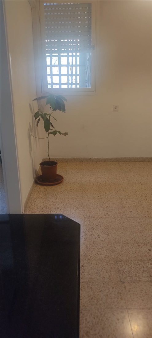 תמונה 5 ,דירה 3 חדרים להשכרה בחיפה, רח דובנוב  3, נוה שאנן  