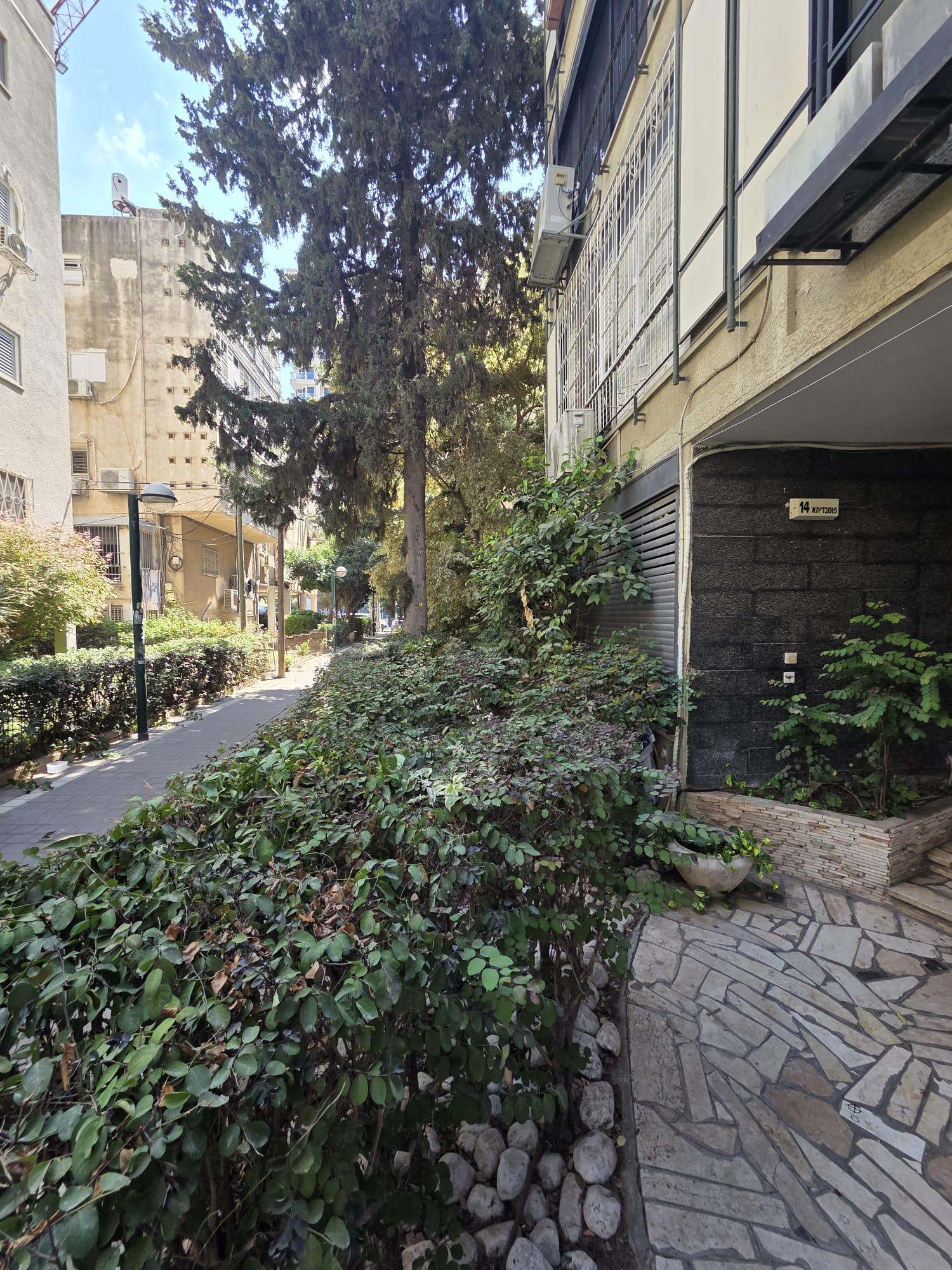 תמונה 2, דירה 4 חדרים להשכרה בתל אביב יפו, פומבדיתא, צפון ישן