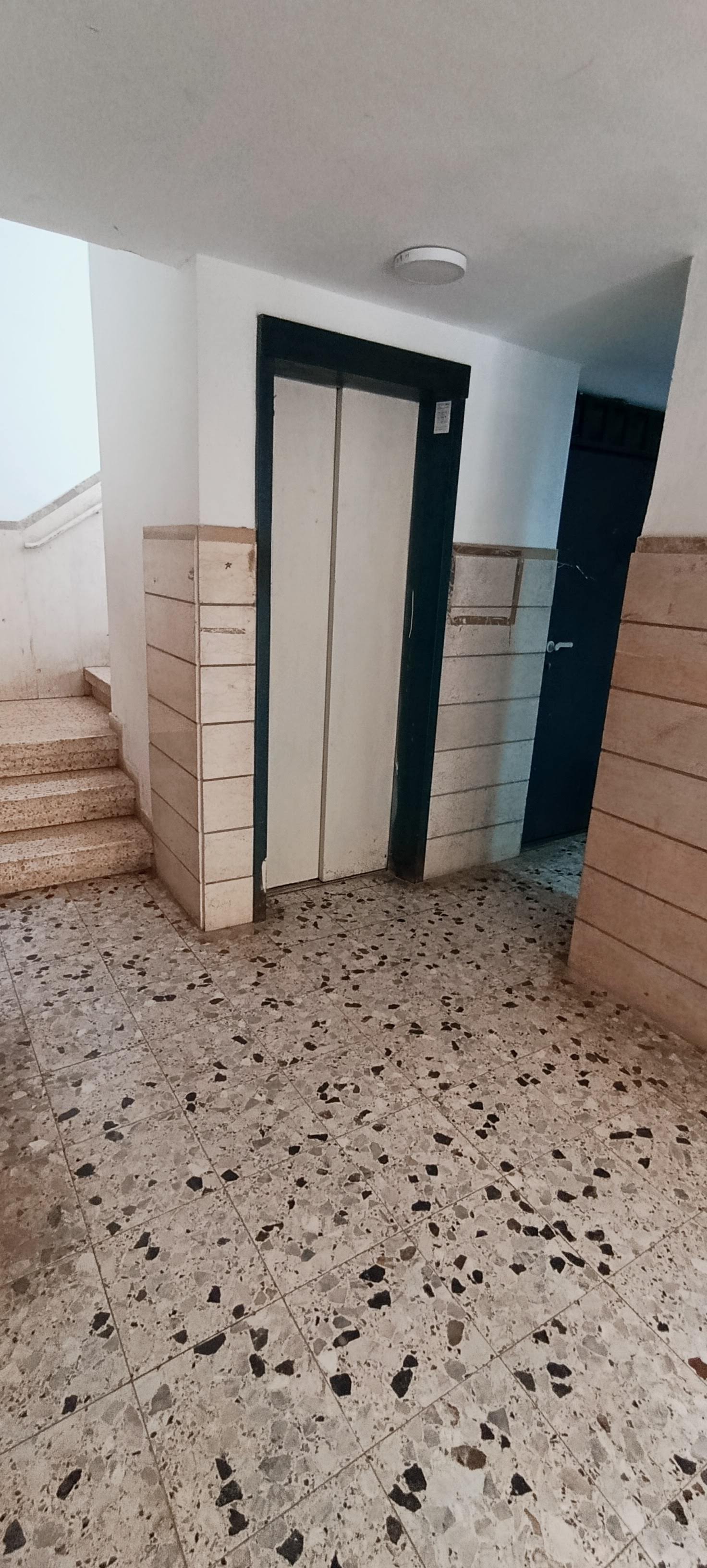 תמונה 3, דירה 4 חדרים להשכרה בהרצליה, קלישר 12, ירוקה