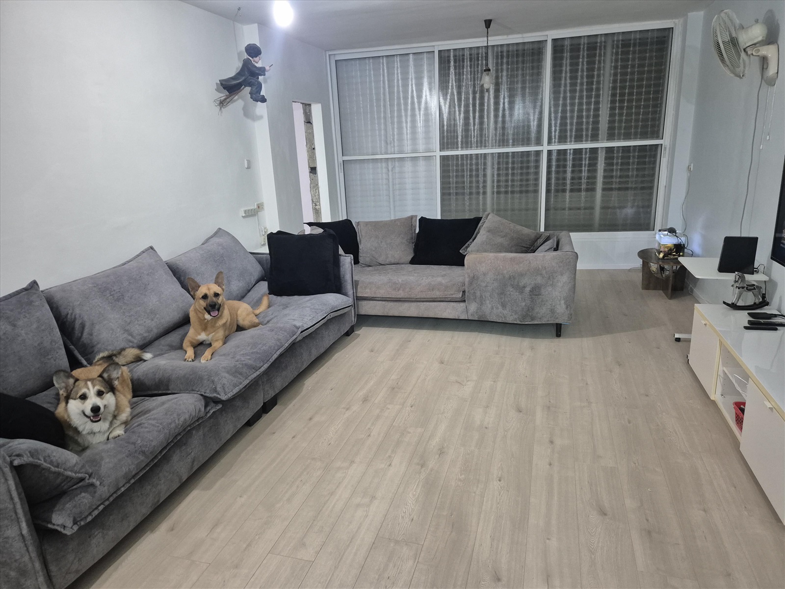 תמונה 4, דירה 1 חדרים להשכרה בקריית אונו, צהל, קראון