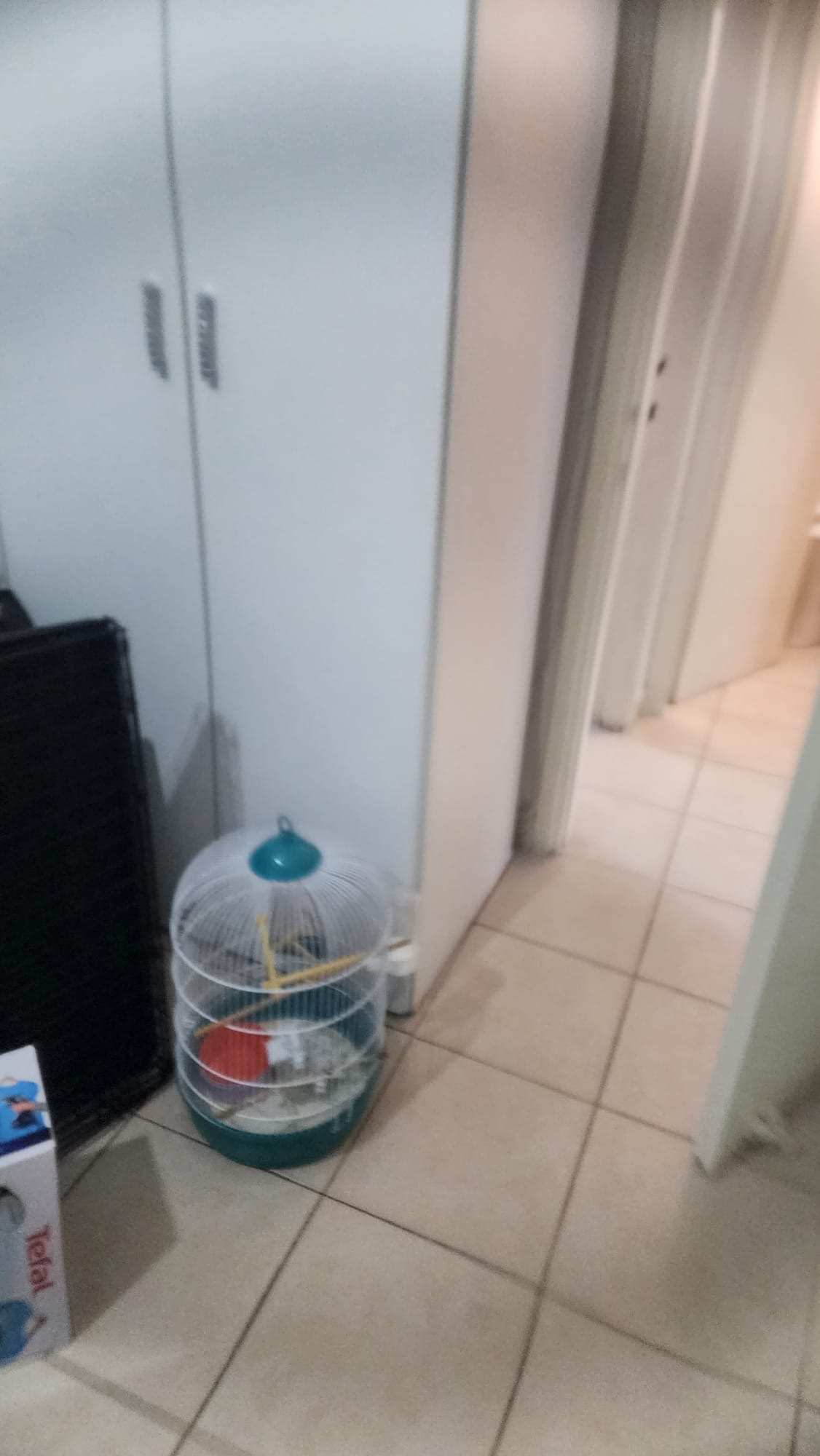 תמונה 3, דירה 2.5 חדרים להשכרה בקרית מוצקין, שביל סביון, רומבואיד/פנטגון