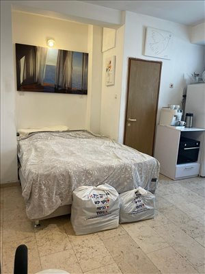 דירה להשכרה 1 חדרים בתל אביב יפו אבן גבירול 