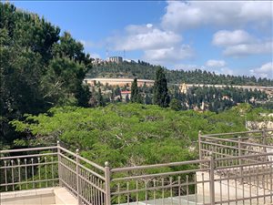 בית פרטי להשכרה 6 חדרים בירושלים  בנימינה  