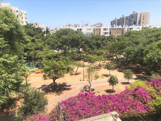 דירה להשכרה 2.5 חדרים בתל אביב יפו הופיין נוה אביבים 