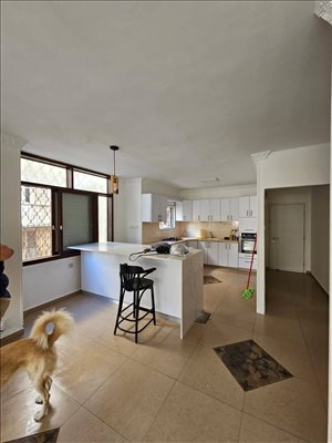 דירה להשכרה 4.5 חדרים בנתניה דיזינגוף מרכז 