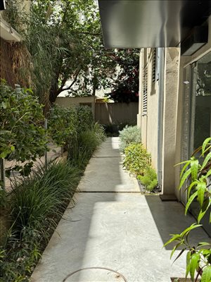 דירה להשכרה 1 חדרים בתל אביב יפו חובבי ציון 