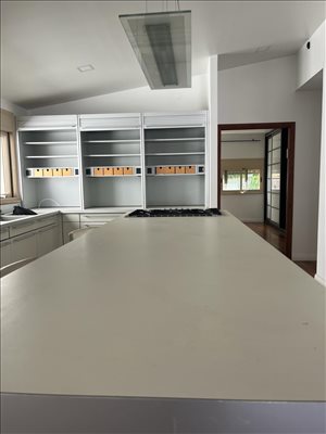 דירה להשכרה 3 חדרים בתל אביב יפו פרוג  