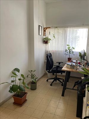 דירה להשכרה 2 חדרים בתל אביב יפו זנגביל 