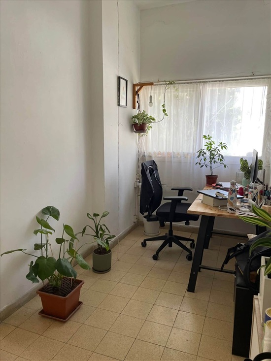 תמונה 1 ,דירה 2 חדרים, זנגביל הצפון הישן תל אביב יפו