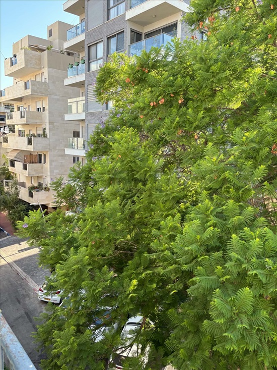 תמונה 3 ,דירה 1 חדרים,  מרכז רמת גן