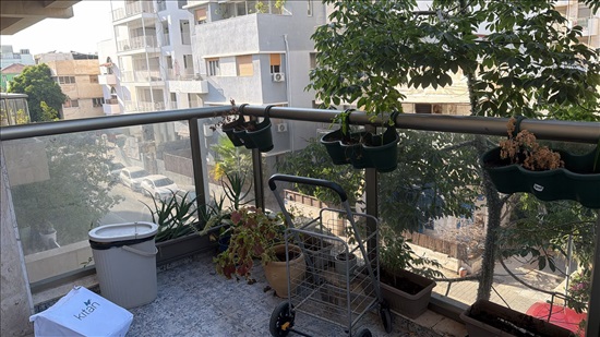 תמונה 12 ,דירה 4 חדרים, יונה הנביא  מרכז  תל אביב יפו