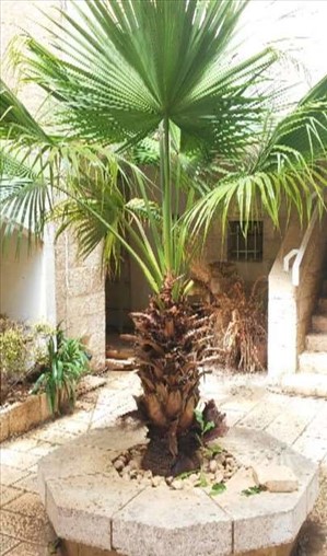 בית פרטי, 5 חדרים, שוני הלכות, ירושלים 