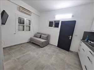 דירה למכירה 1 חדרים בתל אביב יפו נתן 
