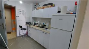 דירת סטודיו למכירה 1 חדרים בחיפה אריה לובה אליאב 