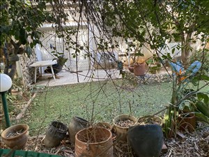 דירת גן למכירה 3.5 חדרים בתל אביב יפו כפר יונה רמת אביב הירוקה 