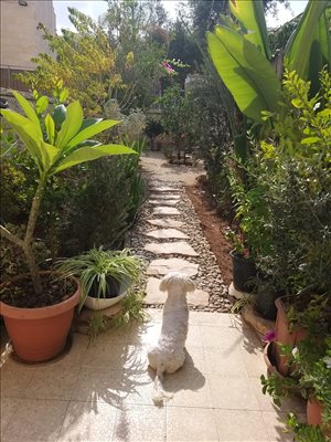 דירת גן למכירה 4 חדרים בירושלים שלמה הררי פסגת זאב 