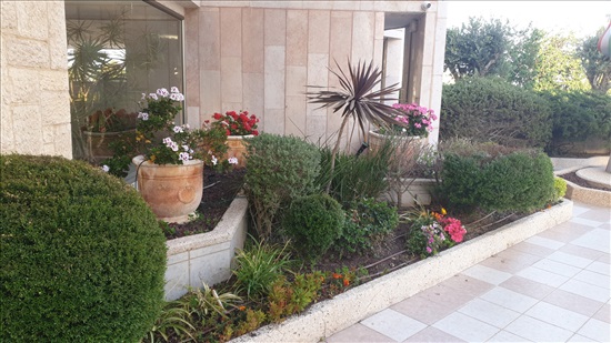 תמונה 8 ,דירה 3.5 חדרים למכירה בחיפה קשטן סביוני דניה