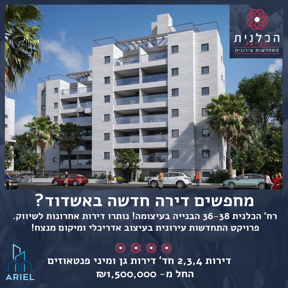 תמונה 1, דירה 3 חדרים למכירה באשדוד, הכלנית, כלנית 36/38