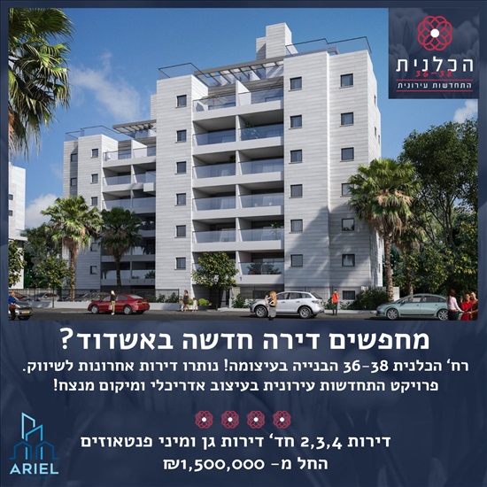 תמונה 1 ,דירה 3 חדרים למכירה באשדוד, הכלנית, כלנית 36/38