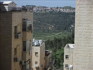 דירה למכירה 9 חדרים בירושלים ר' אגסי 12 הר נוף 