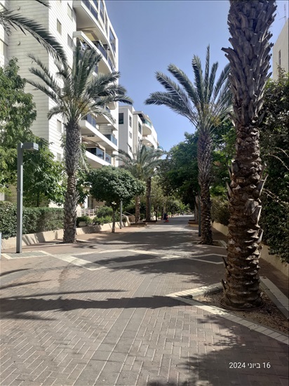 תמונה 3, דירה 4.5 חדרים למכירה בתל אביב יפו, משה פרלוק, רמת אביב החדשה