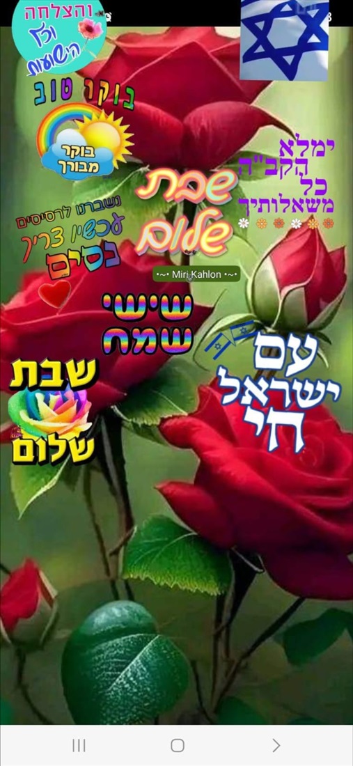 תמונה 1 ,דירה 4 חדרים למכירה בראשון לציון, הצופים, נעורים