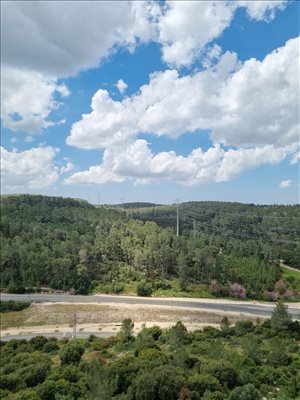 דירה למכירה 3 חדרים בבית שמש ריש לקיש  