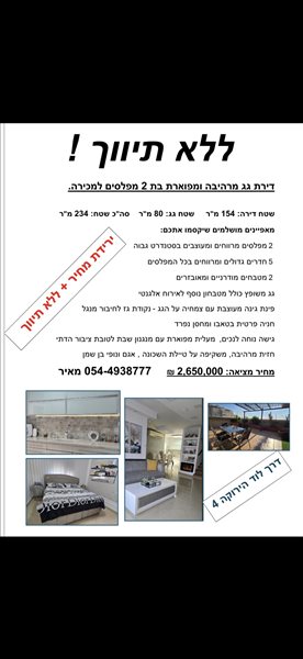 דירת גג, 5 חדרים, דרך לוד הירוקה, לוד  