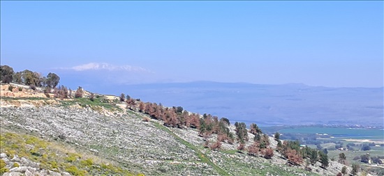 תמונה 4, דו משפחתי 5 חדרים למכירה בצפת, נוף הגולן, נוף הכנרת