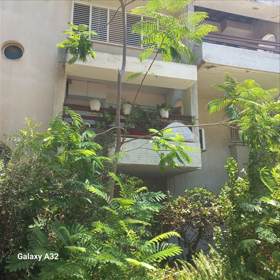 תמונה 4, דירה 5 חדרים למכירה בכפר  סבא, בן גוריון , פעלים