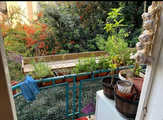 תמונה 7 ,דירה 2.5 חדרים למכירה בחיפה, מסדה, הדר