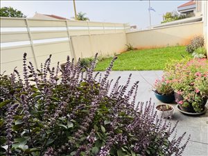דו משפחתי, 6 חדרים, תרמ''ג 13ג, מזכרת בתיה  