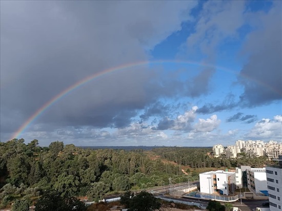 תמונה 2, דירה 5 חדרים למכירה בחריש, לוטם, הפרחים