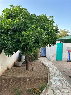 בית פרטי למכירה 4 חדרים בתל אביב יפו יגאל אלון 