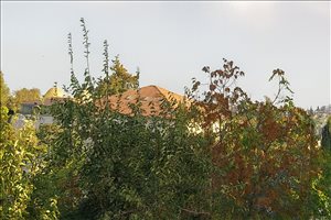דירה, 5 חדרים, עידו הנביא, ירושלים  