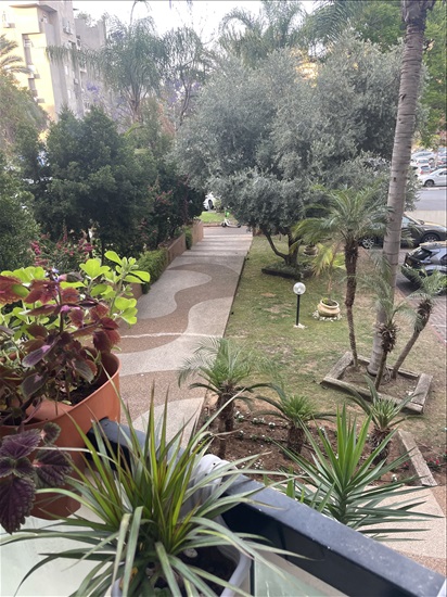 תמונה 8 ,דירה 5.5 חדרים למכירה בחולון, יהושע רבינוביץ, קרית בן גוריון