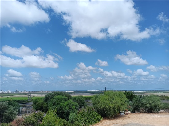 תמונה 7 ,קוטג 5 חדרים למכירה בכברי , השיזף 1, האשכולות 