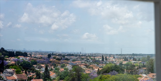 תמונה 1 ,דירה 5 חדרים למכירה בראשון לציון, הצבר, נרקיסים