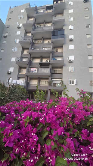 תמונה 4, דירה 4 חדרים למכירה בלוד, דרך לוד הירוקה, גני יער