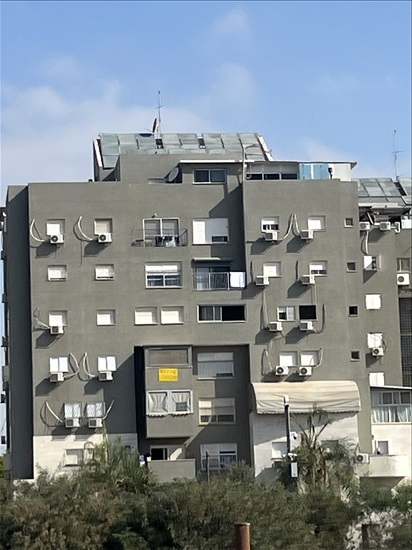 תמונה 6 ,דירה 4 חדרים למכירה בלוד, דקר, גני יער
