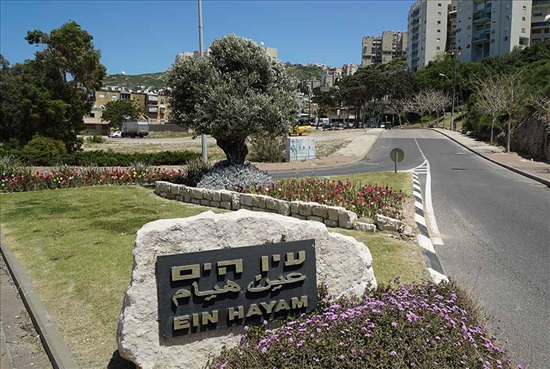 תמונה 6 ,מגרש למגורים 6 חדרים למכירה בחיפה, העוגן, עין הים