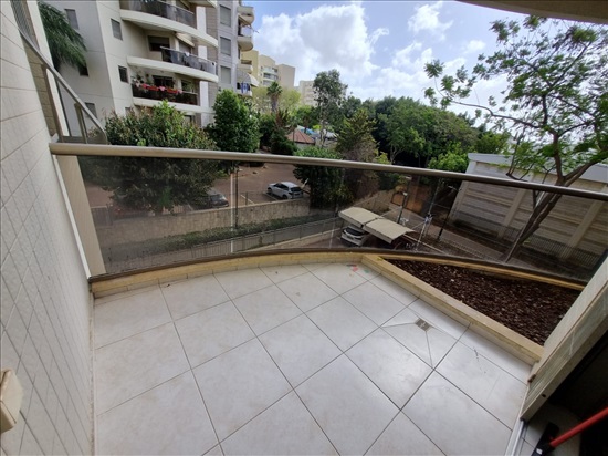 תמונה 4 ,דירה 4 חדרים למכירה בנס ציונה, העו, הדרי