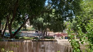 דירת גן למכירה 3 חדרים בירושלים משה רחמילביץ' 