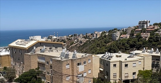 תמונה 3, דירה 5 חדרים למכירה בחיפה, אלכסנדר ינאי, כרמליה